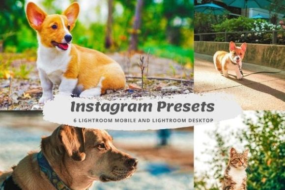 Download Influencer Lightroom Instagram Presets - Influencer Collection